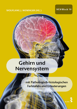 Gehirn und Nervensystem - 