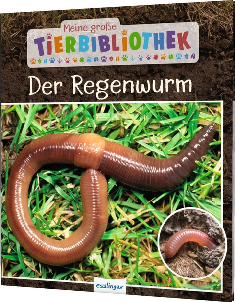 Meine große Tierbibliothek: Der Regenwurm - Valérie Tracqui