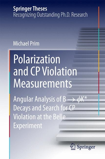 Polarization and CP Violation Measurements - Michael Prim