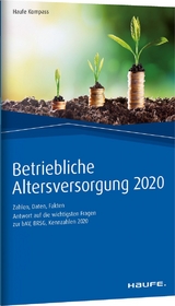 Betriebliche Altersversorgung 2020 - Dommermuth, Thomas; Hauer, Michael; Schiller, Thomas