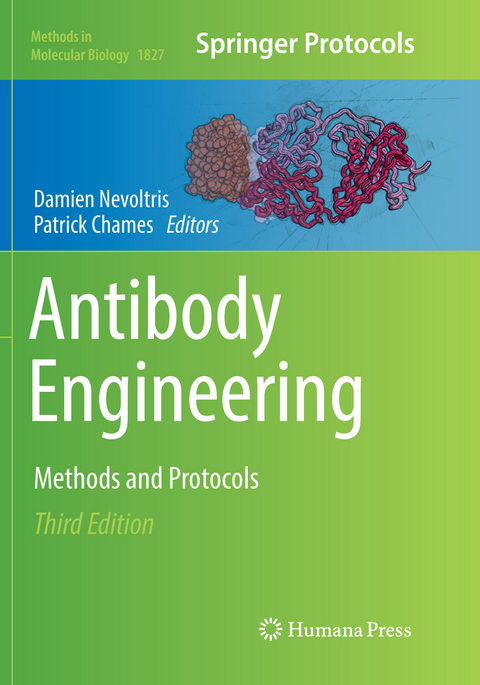 Antibody Engineering - 