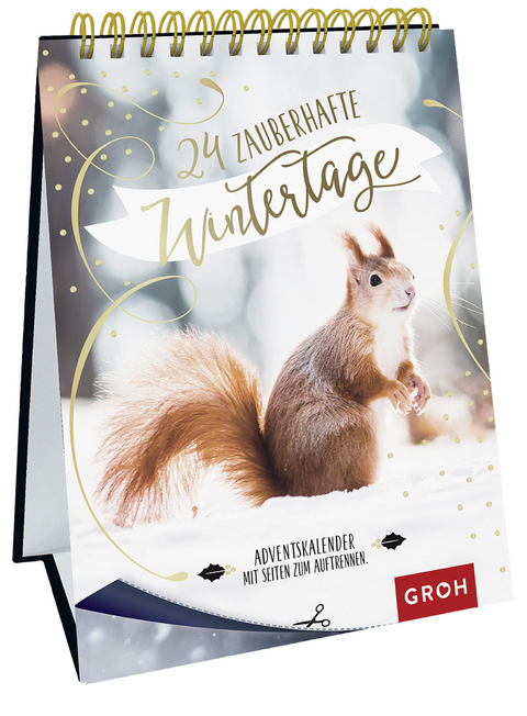 24 zauberhafte Wintertage - 