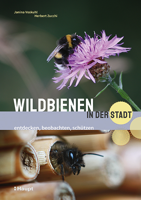 Wildbienen in der Stadt - Janina Voskuhl, Herbert Zucchi
