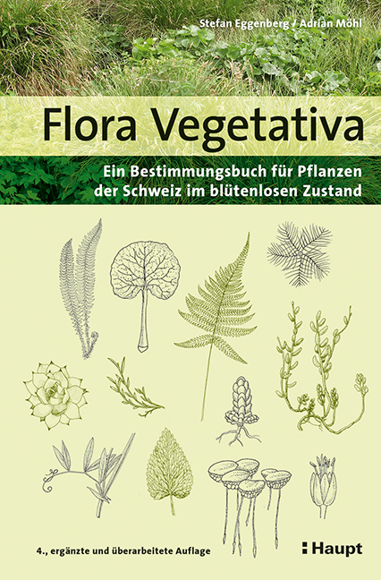 Flora Vegetativa - Stefan Eggenberg, Adrian Möhl
