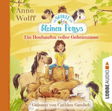 Die Schule der kleinen Ponys - Ein Heuhaufen voller Geheimnisse - Anne Wolff