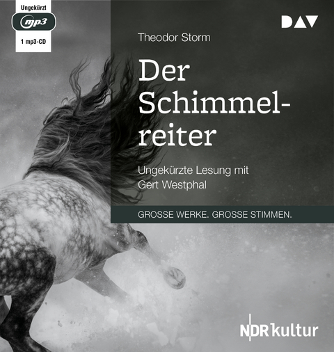 Der Schimmelreiter - Theodor Storm