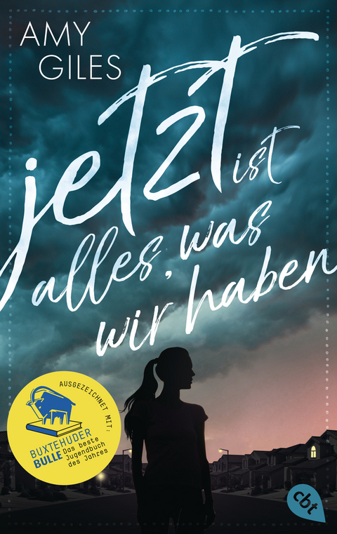 Jetzt ist alles, was wir haben - Amy Giles