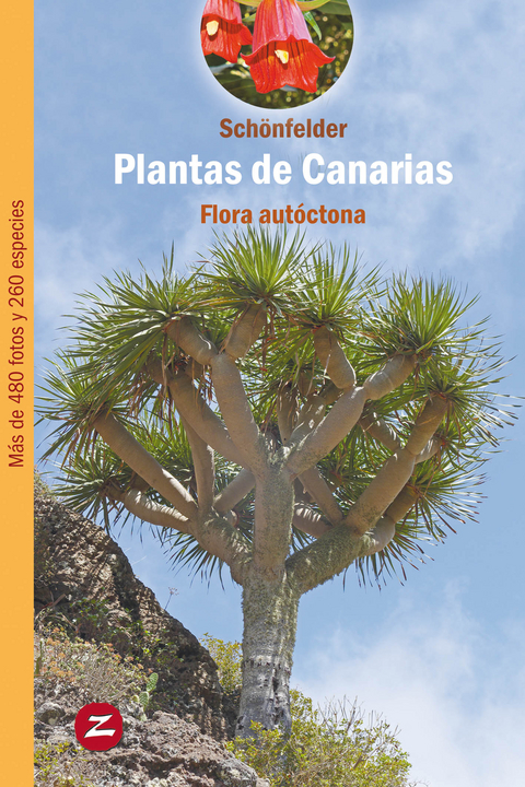 Plantas de Canarias - Peter Schönfelder, Ingrid Schönfelder