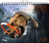 Hunde unter Wasser 2021 - Casteel, Seth