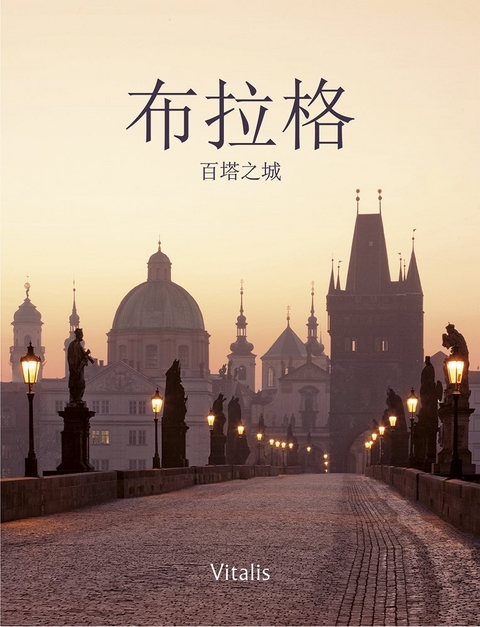 布拉格 (Prag) - Harald Salfellner