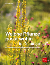 Welche Pflanze passt wohin im Naturgarten? - Paula Polak