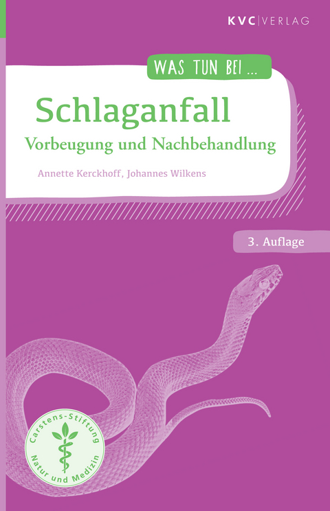 Schlaganfall - Annette Kerckhoff, Johannes Wilkens