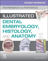 Student Workbook for Illustrated Dental Embryology, Histology and Anatomy - Fehrenbach, Margaret J.