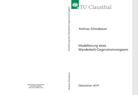 Modellierung eines Wanderbett-Gegenstromvergasers - Andreas Schwabauer