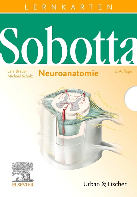 Sobotta Lernkarten Neuroanatomie - Lars Bräuer, Michael Scholz