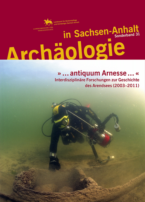 » ... antiquum Arnesse ... «. Interdisziplinäre Forschungen zur Geschichte des Arendsees (2003–2011) (Archäologie in Sachsen Anhalt / Sonderband 31) - 