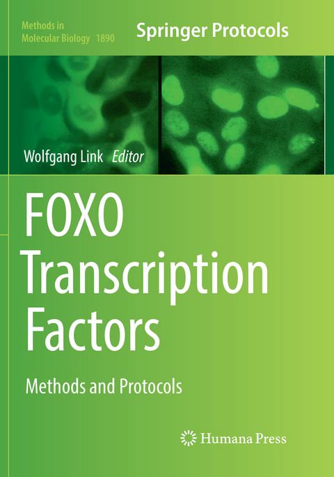 FOXO Transcription Factors - 