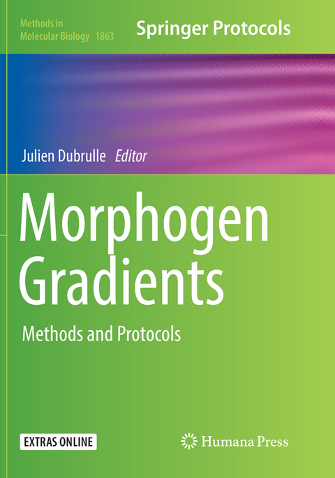 Morphogen Gradients - 