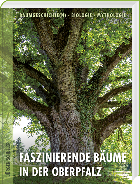 Faszinierende Bäume in der Oberpfalz - Jürgen Schuller