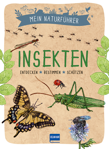 Mein Naturführer - Insekten - Xavier Japiot