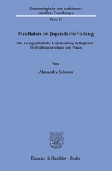 Straftaten im Jugendstrafvollzug. - Alexandra Schwan