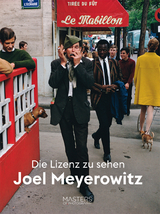 Lizenz zu sehen: Joel Meyerowitz - Joel Meyerowitz