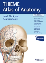 THIEME Atlas of Anatomy - Schuenke, Michael; Schulte, Erik; Schumacher, Udo; Stefan, Cristian