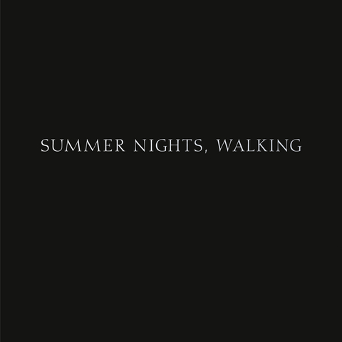 Summer Nights, Walking - Robert Adams