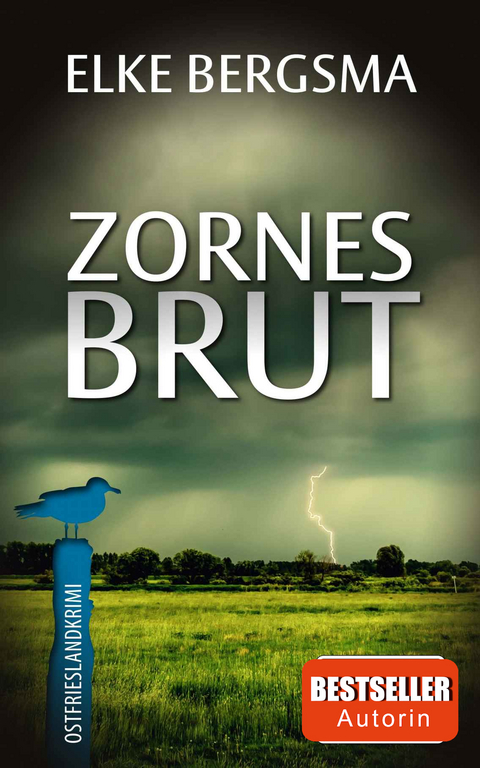 Zornesbrut - Elke Bergsma