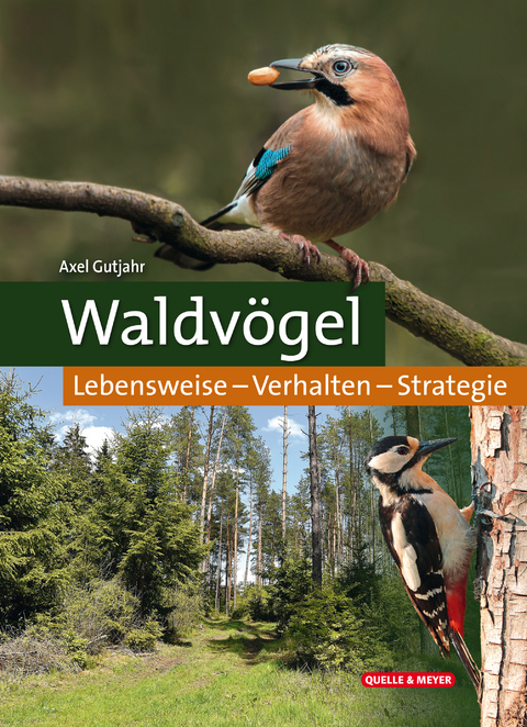 Waldvögel - Axel Gutjahr