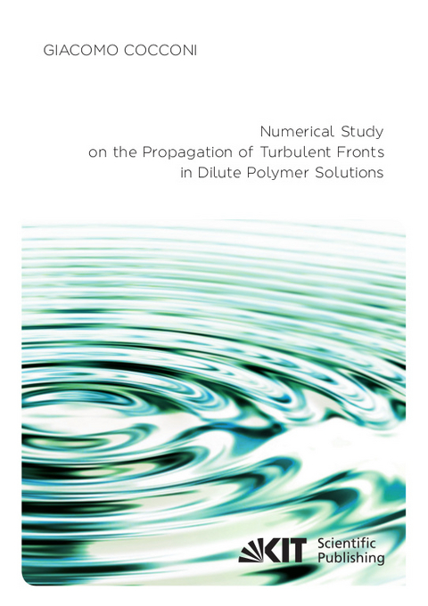 Numerical Study on the Propagation of Turbulent Fronts in Dilute Polymer Solutions - Giacomo Cocconi