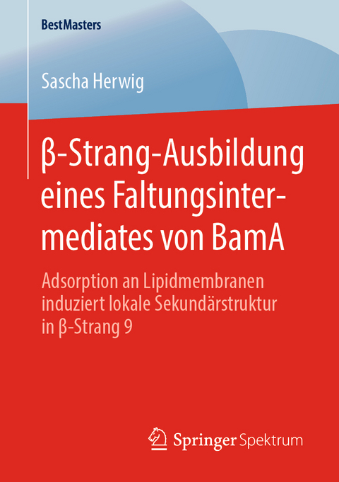 β-Strang-Ausbildung eines Faltungsintermediates von BamA - Sascha Herwig