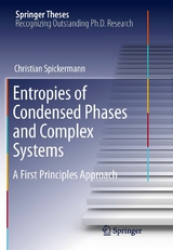 Entropies of Condensed Phases and Complex Systems - Christian Spickermann