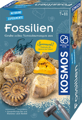 Fossilien - 