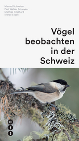 Vögel beobachten in der Schweiz - Manuel Schweizer, Paul Walser Schwyzer, Mathias Ritschard, Marco Sacchi