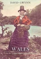 Wales In the Golden Age of Picture Postcards -  David Gwynn