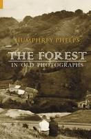 Forest in Old Photographs -  Humphrey Phelps