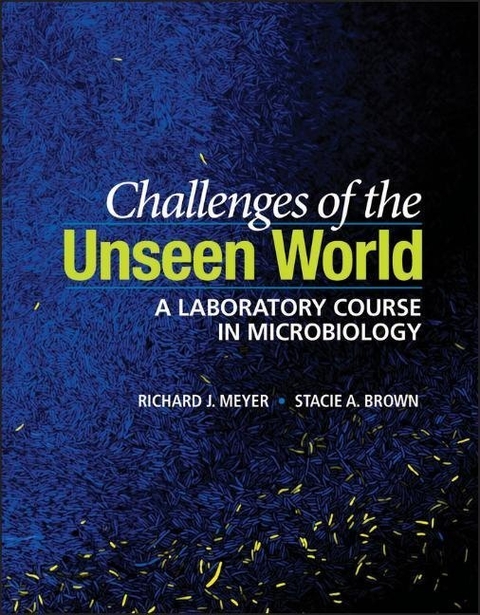 Challenges of the Unseen World - Richard J. Meyer, Stacie A. Brown