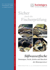 Süßwasserfische, Neunaugen, Fische, Krebse und Muscheln der Binnengewässer - 