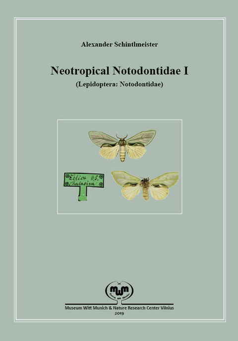 Neotropical Notodontidae I (Lepidoptera: Notodontidae) - Alexander Schintlmeister