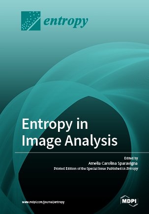 Entropy in Image Analysis - 