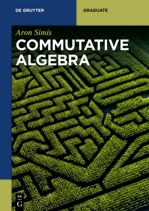 Commutative Algebra - Aron Simis