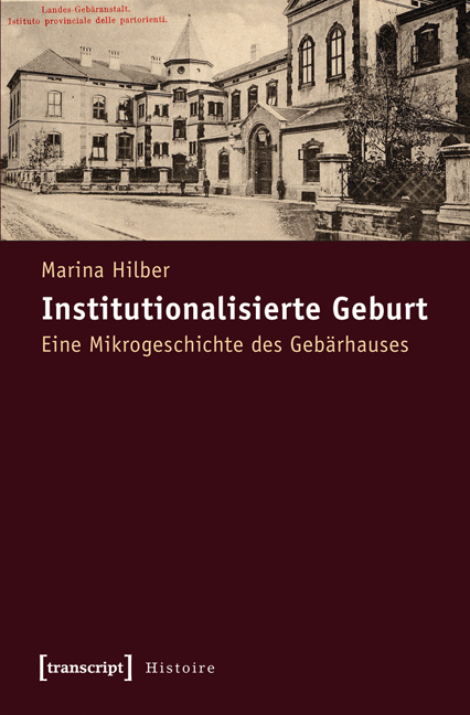 Institutionalisierte Geburt - Marina Hilber