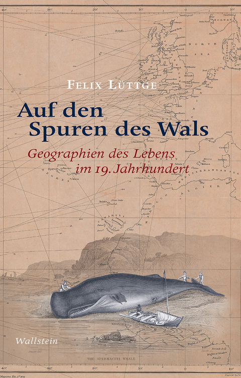 Auf den Spuren des Wals - Felix Lüttge