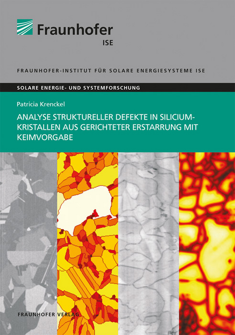 Analyse struktureller Defekte in Siliciumkristallen aus gerichteter Erstarrung mit Keimvorgabe - Patricia Krenckel