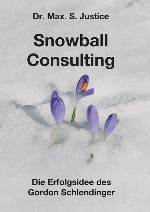 Snowball Consulting - Dr. Max. S. Justice