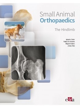 Small Animal Orthopaedics. The Hindlimb - Ignacio Calvo Bermejo, Felipe De Vicente Collado, Miguel Ángel Solano Nicolás, Josep Aisa Roig