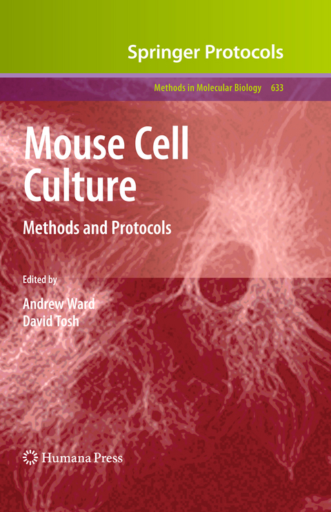 Mouse Cell Culture - 