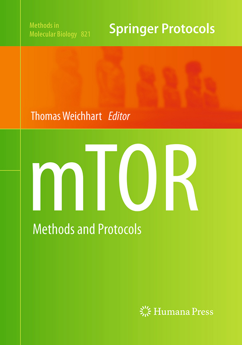 mTOR - 