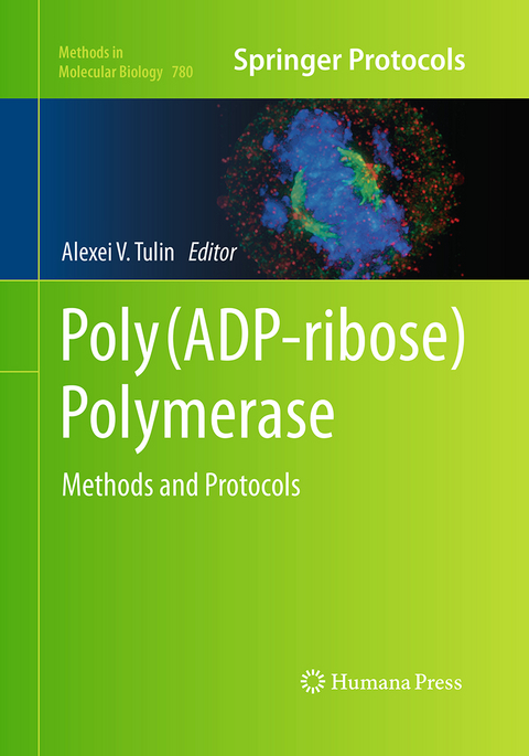 Poly(ADP-ribose) Polymerase - 